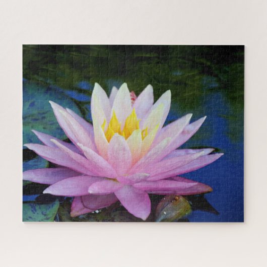 Puzzle Nénuphar rose doux (Horizontal)