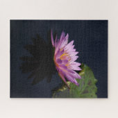 Puzzle Nénuphar rose violet (Horizontal)