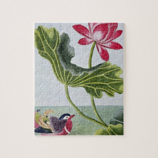 Puzzle Nénuphar rouge chinois, volume I, plat 82, de ' (Vertical)