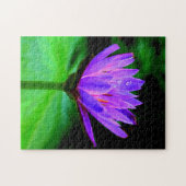 Puzzle Nénuphar simple (Horizontal)