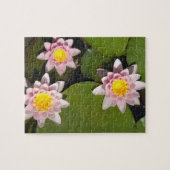 Puzzle Nénuphars (Horizontal)