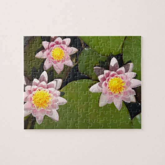 Puzzle Nénuphars (Horizontal)