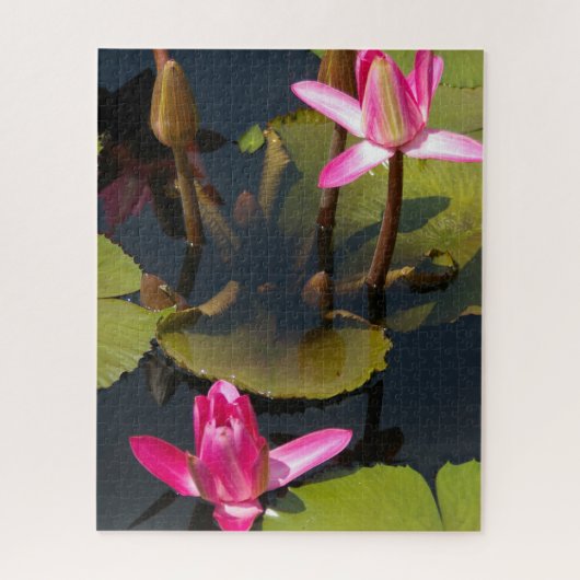 Puzzle Nénuphars Magenta (Vertical)