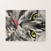 Puzzle Nettoyage de chats (Horizontal)