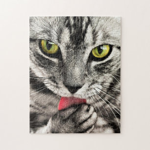 Puzzle Nettoyage de chats