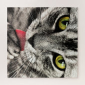Puzzle Nettoyage des chats - (Horizontal)