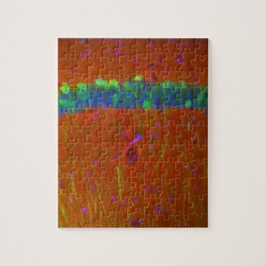 Puzzle Neurones 4 de Hippocampal (Vertical)