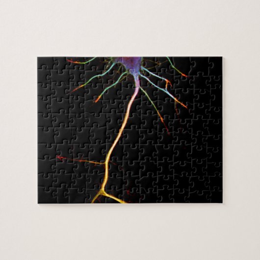 Puzzle Neuroscience, neuron, science (Horizontal)