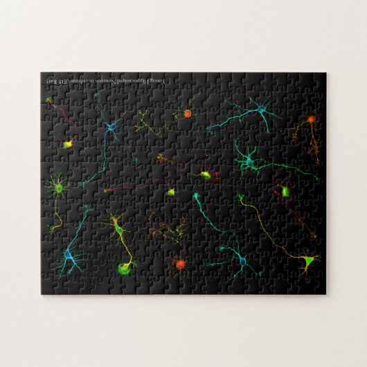 Puzzle NeuroStage3 (Horizontal)