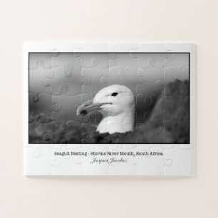 Puzzle Nidification de Seagul