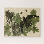 Puzzle Night Hawk - John James Audubon's Birds of America (Horizontal)