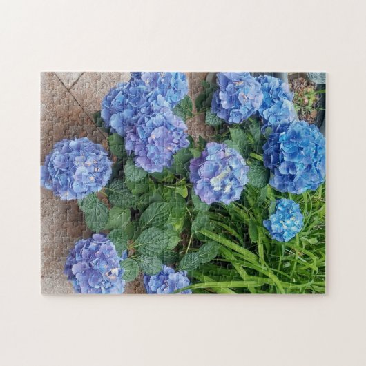 Puzzle Nikko Blue Hydrangea (Horizontal)