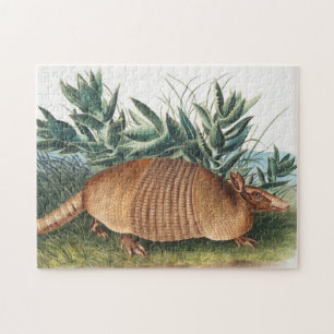 Puzzle Nine-banded Armadillo (Dasypus Peba) Illustration