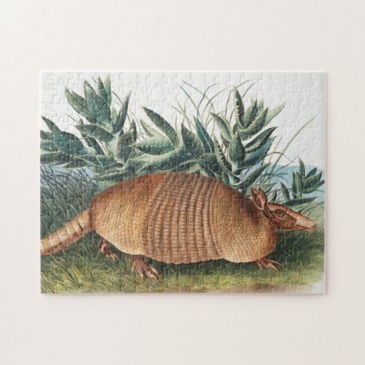 Puzzle Nine-banded Armadillo (Dasypus Peba) Illustration (Horizontal)