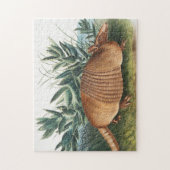 Puzzle Nine-banded Armadillo (Dasypus Peba) Illustration (Vertical)