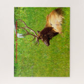 Puzzle Noël Salutations Mon Hunter Gatherer (Vertical)