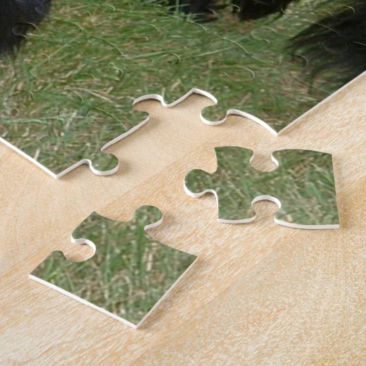 Puzzle noir anglais cocker spaniel plein 2 (Côté)