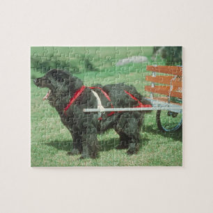 Puzzle noir de chien de chariot de Terre-Neuve