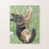 Puzzle Noir et Alsacien bronzage (Vertical)