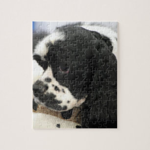 Puzzle noir et blanc de cocker