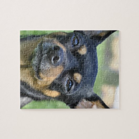 Puzzle noir et Brown de chiwawa (Horizontal)