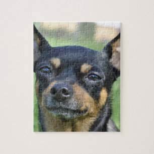 Puzzle noir et Brown de chiwawa