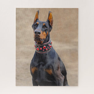 Puzzle Noir et Tan Doberman Pinscher