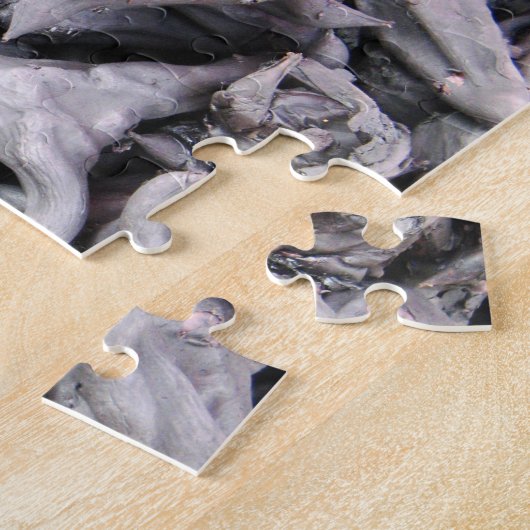 Puzzle Noix de buffle - Water Caltrop (Côté)