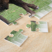 Puzzle nord-américain de bison (Côté)