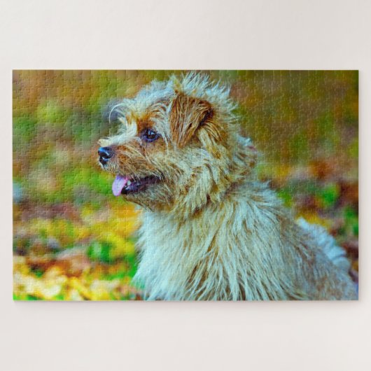 Puzzle Norfolk terrier. (Horizontal)