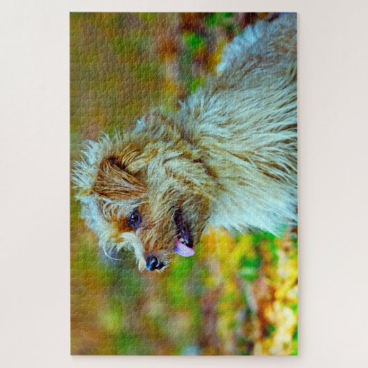 Puzzle Norfolk terrier Chien. (Vertical)
