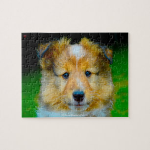 Puzzle Notre chien de mouton Shetland Notre animal de fam