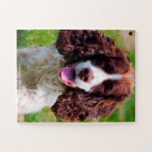 Puzzle Notre chien Springer Notre animal de compagnie (Horizontal)
