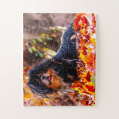 Puzzle Notre Espagnol Tibétain Notre animal de compagnie (Vertical)