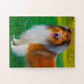 Puzzle Notre Rough Collie, l'animal de compagnie de notre (Horizontal)