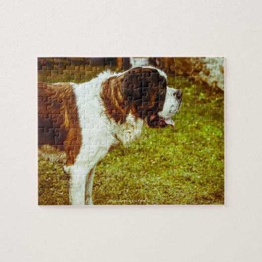 Puzzle Notre Saint Bernard Notre animal de famille (Horizontal)