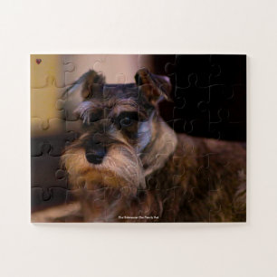Puzzle Notre Schnauzer, l'animal de compagnie de notre fa