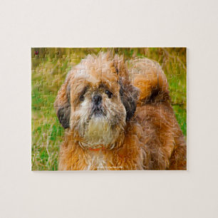 Puzzle Notre Shih Tzu, l'animal de compagnie de notre fam