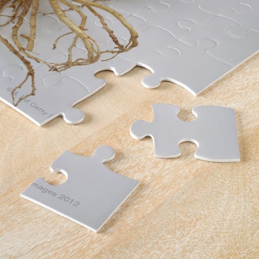 Puzzle nourriture coréenne, ginseng (Côté)