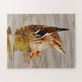 Puzzle Nourriture de canard de Majard sous l'eau (Horizontal)