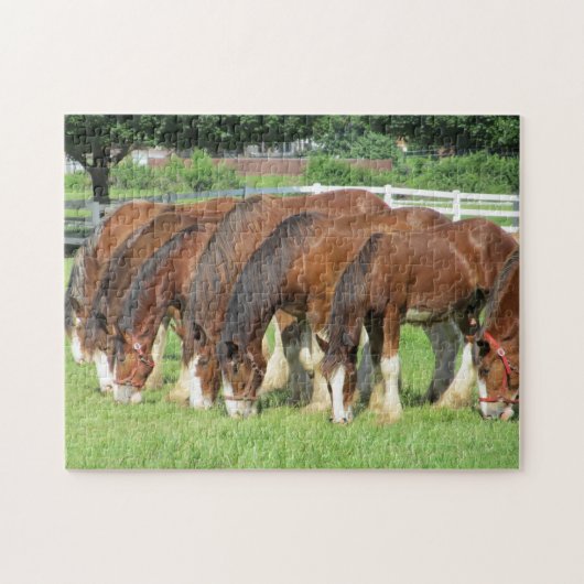 Puzzle Nourriture des chevaux dans un champ (Horizontal)