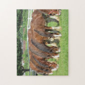Puzzle Nourriture des chevaux dans un champ (Vertical)