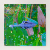 Puzzle Nous aimons Aligator's en Floride (Vertical)