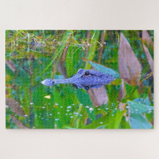 Puzzle Nous aimons les Aligators en Floride (Horizontal)