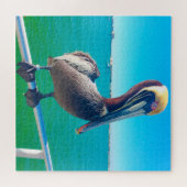 Puzzle Nous aimons les pélicans en Floride (Horizontal)