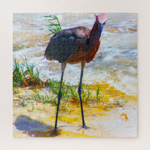 Puzzle Nous aimons Sanibel's en Floride