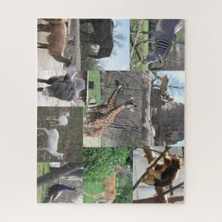 Puzzle Nous allons au zoo