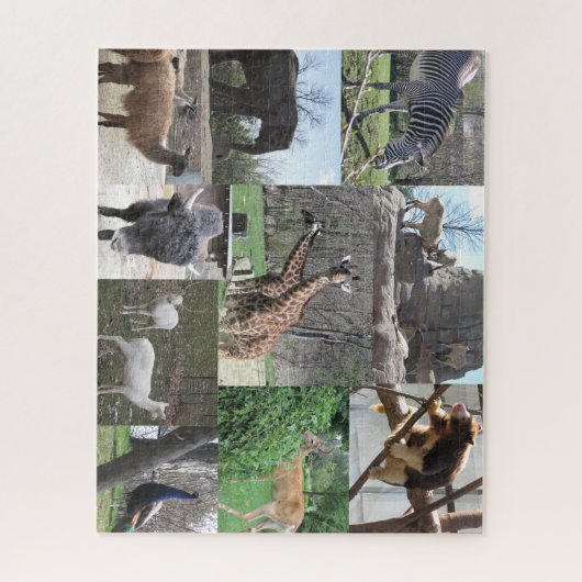 Puzzle Nous allons au zoo (Vertical)