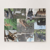 Puzzle Nous allons au zoo (Horizontal)