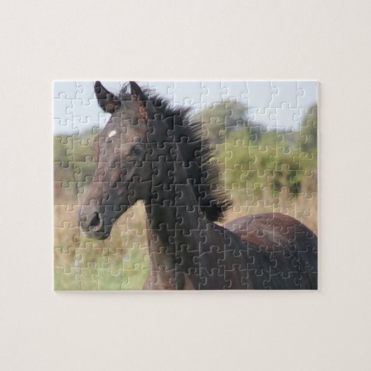 Puzzle Nouveau poney/cheval (Horizontal)